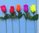 Rosenknospe in 5 Leuchtfarben - 10107- 45cm - 200 Stück im Karton